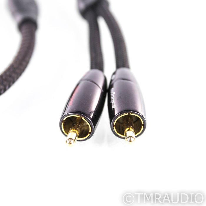 AudioQuest Big Sur RCA Cables; 2ft Pair Interconnects