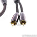 AudioQuest Big Sur RCA Cables; 2ft Pair Interconnects