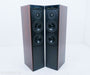 Meridian DSP 5000 Digital Powered Floorstanding Speakers