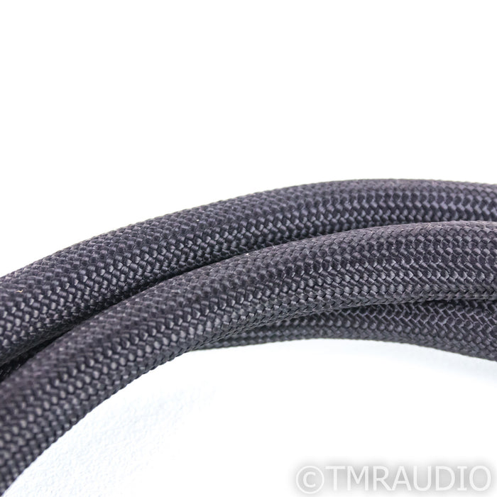 Richard Gray Power Company High Tension Wire Power Cable; 2m AC Cord