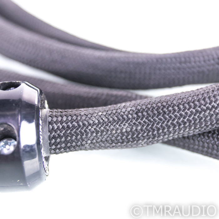 Richard Gray Power Company High Tension Wire Power Cable; 2m AC Cord