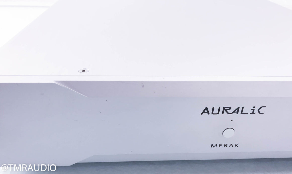 Auralic Merak Mono Power Amplifier
