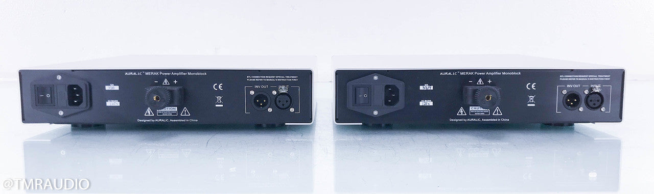 Auralic Merak Mono Power Amplifier