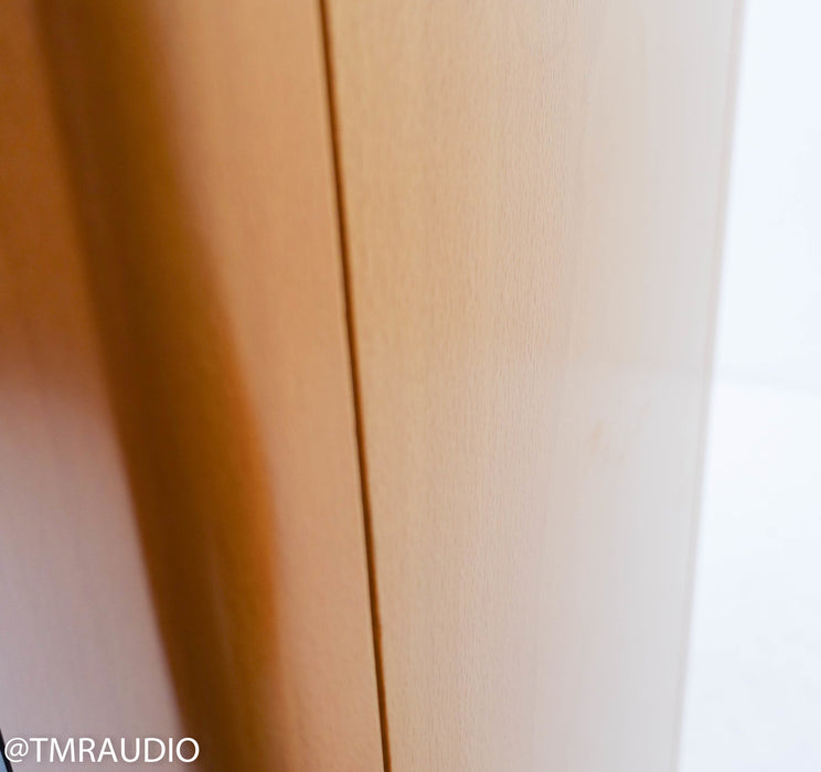Vienna Acoustics Bach Floorstanding Speakers
