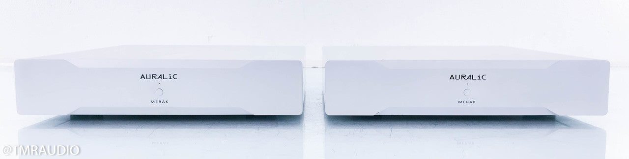 Auralic Merak Mono Power Amplifier