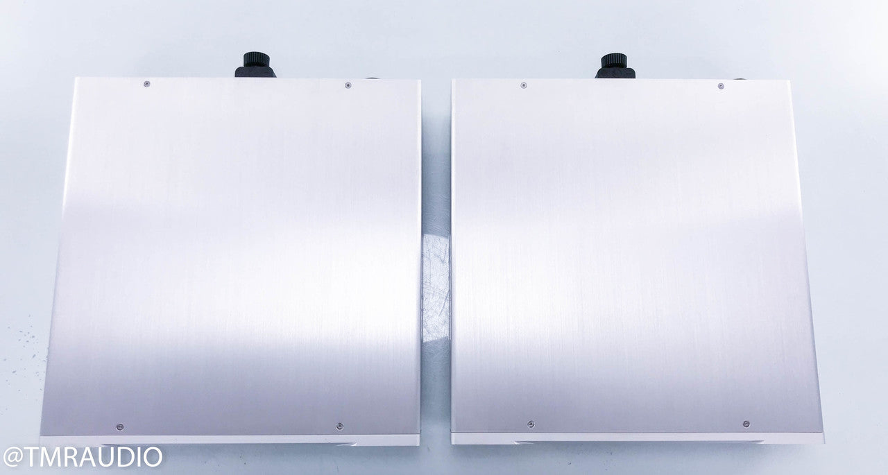 Auralic Merak Mono Power Amplifier