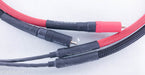 Chord Chorus Reference 3 Pin DIN - RCA Cable
