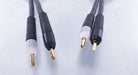 Ansuz Jumperz DTC Speaker Jumper Cables