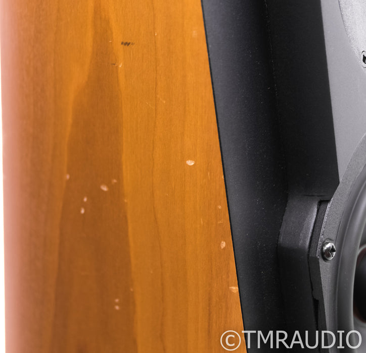 Thiel CS1.5 Vintage Floorstanding Speakers