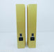 Pinnacle Black Diamond BD 2500 Floorstanding Speakers