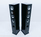 Pinnacle Black Diamond BD 1000 Floorstanding Speakers
