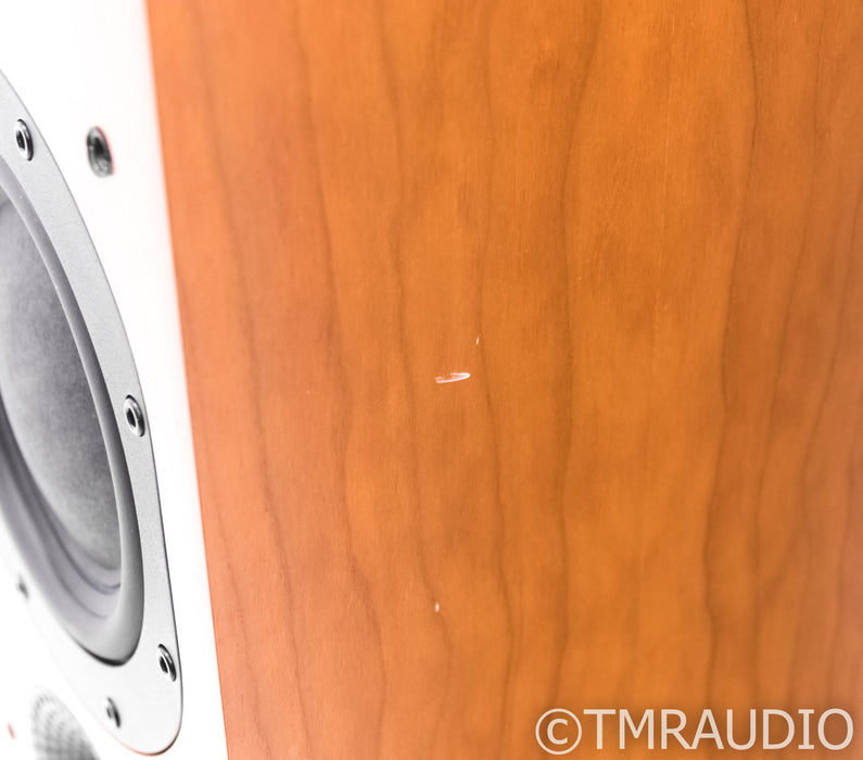 B&W 704 Floorstanding Speakers