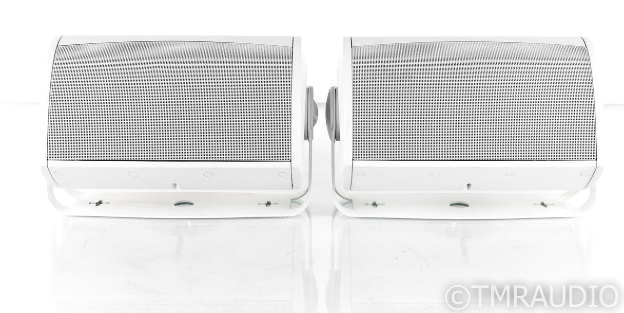 Definitive Technology AW 5500 Outdoor Speakers
