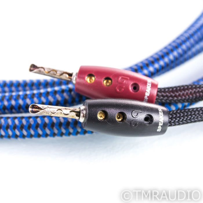 AudioQuest Type 4 Speaker Cables; 10ft Pair