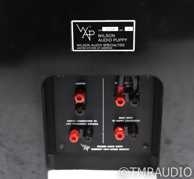 Wilson Audio WATT 2 / Puppy 1 Floorstanding Speakers