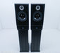 ATC SCM19 Bookshelf Speakers w/ Stands