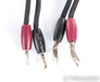 Audioquest Gibraltar Speaker Cables; 6ft Pair; 36v DBS