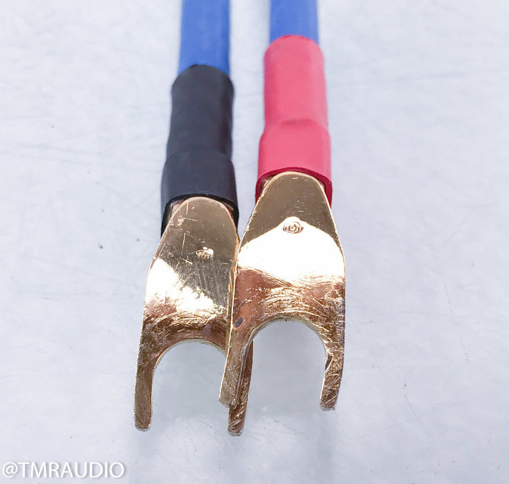 Siltech Eskay Creek Gen 6 Speaker Cables