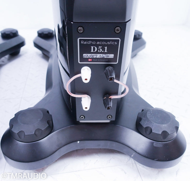 Raidho D-5.1 Floorstanding Speakers