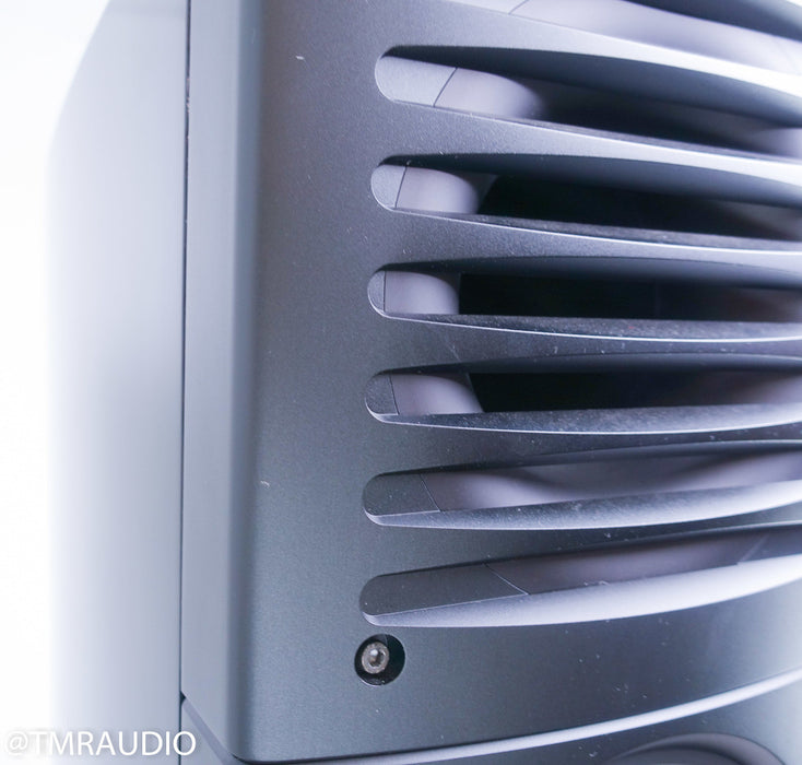 Raidho D-5.1 Floorstanding Speakers