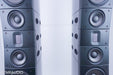 Raidho D-5.1 Floorstanding Speakers