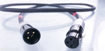 Coincident Technology Statement-2 XLR Cables