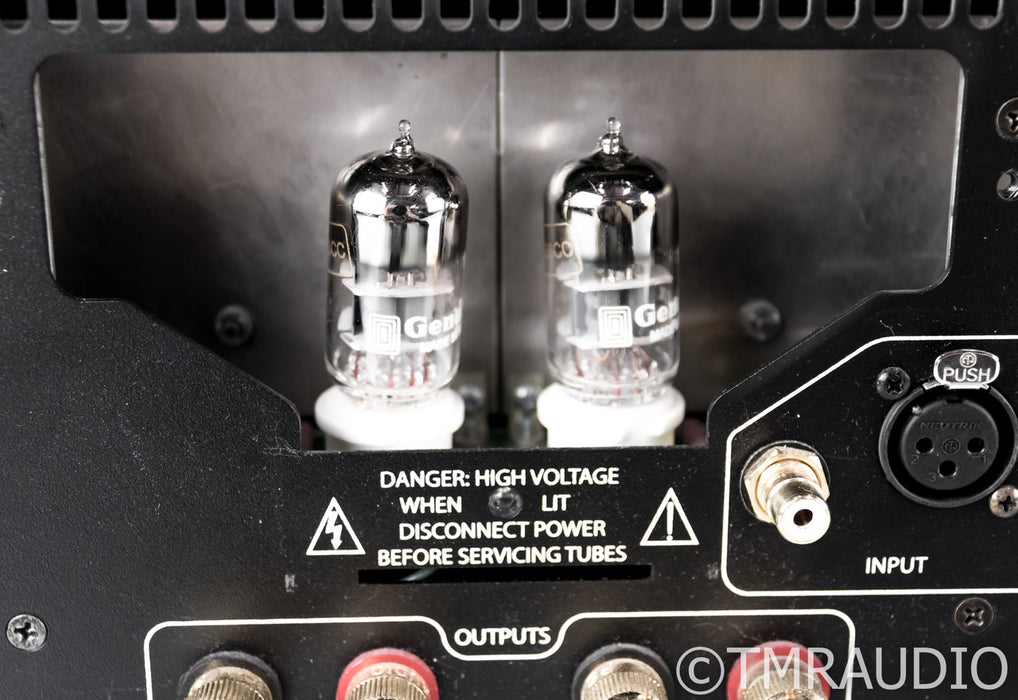 PS Audio BHK Signature 300 Mono Power Amplifier