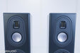 Monitor Audio Platinum PL 200 II Floorstanding Speakers