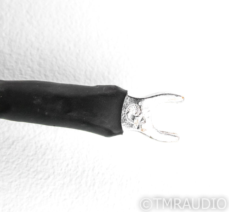 Cardas Golden Reference Speaker cables; 10ft Pair (1/5)
