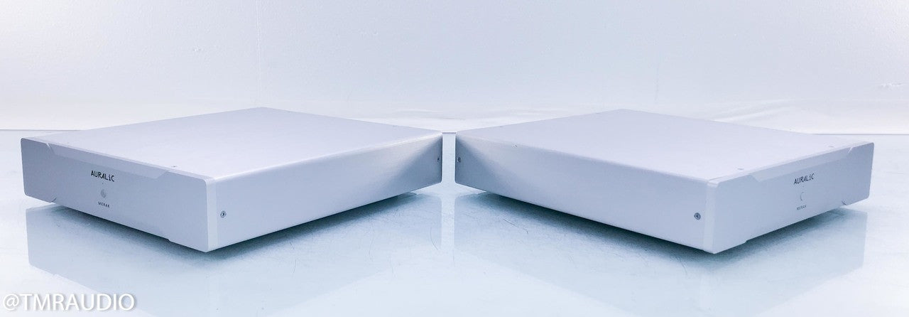 Auralic Merak Mono Power Amplifier