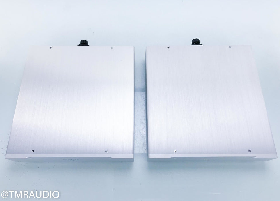 Auralic Merak Mono Power Amplifier
