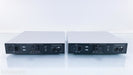 Auralic Merak Mono Power Amplifier