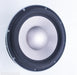 Infinity Intermezzo C.M.M.D. 12" Woofer