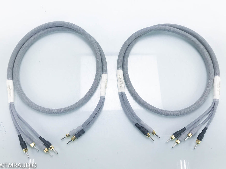 Silnote Anniversary Master Reference Biwire Speaker Cables