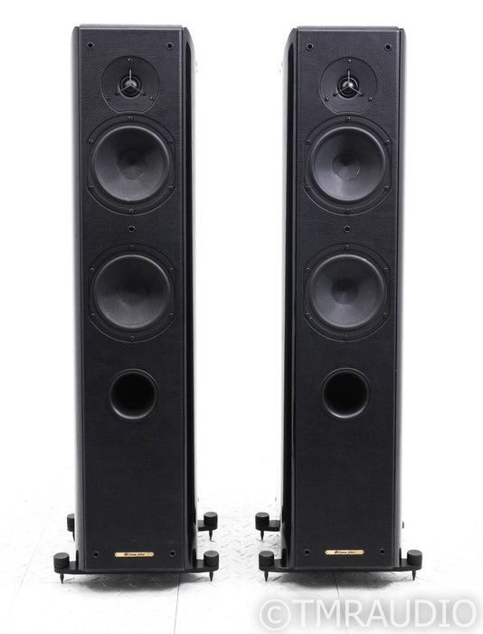 Sonus Faber Grand Piano Home Floorstanding Speakers