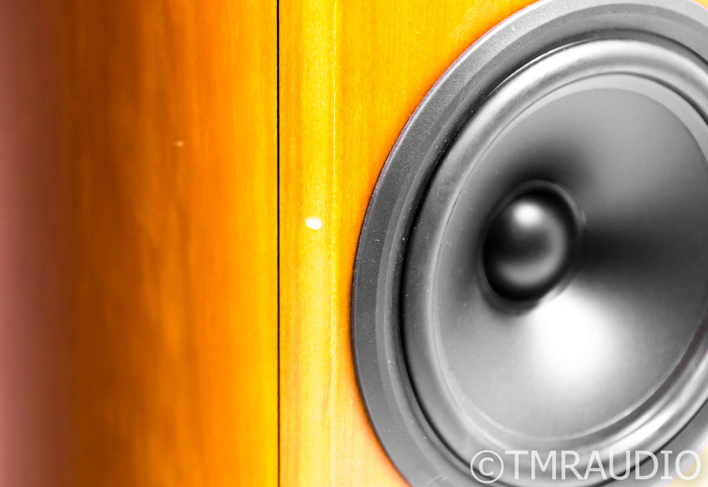 B&W P6 Floorstanding Speakers