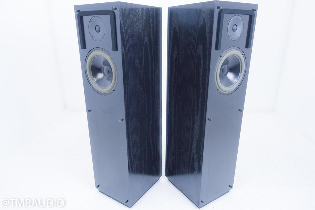 Snell Acoustics Type E-IV Floorstanding Speakers
