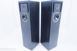 Snell Acoustics Type E-IV Floorstanding Speakers
