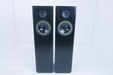 Snell Acoustics Type E-IV Floorstanding Speakers