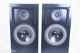 Snell Acoustics Type E-IV Floorstanding Speakers