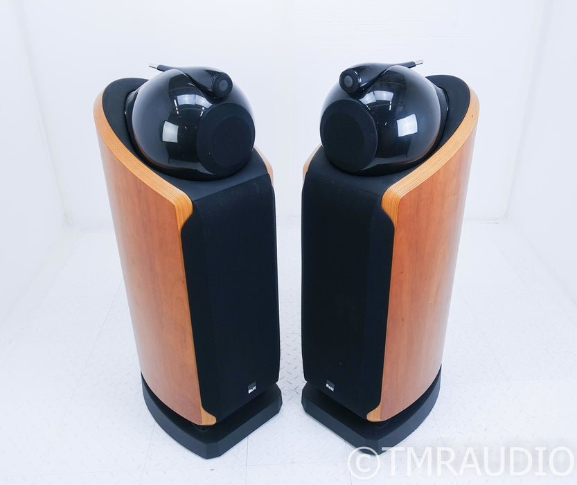 B&W 802D Floorstanding Speakers