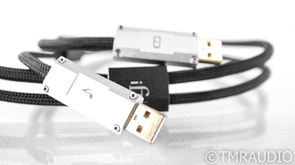 iFi Gemini Dual-Headed USB Cable; .7m Digital Interconnect