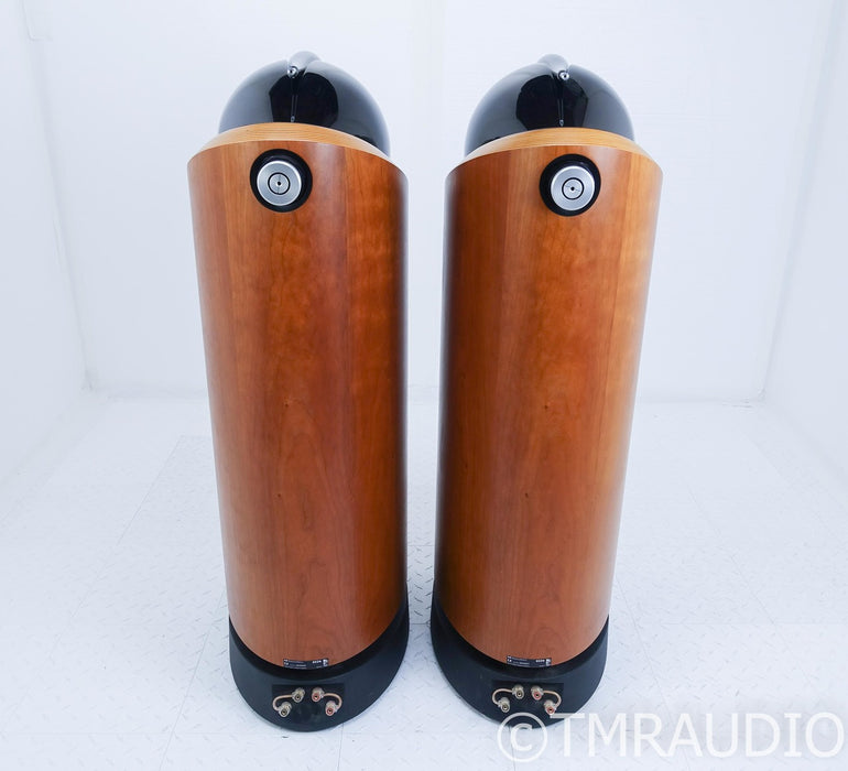 B&W 802D Floorstanding Speakers