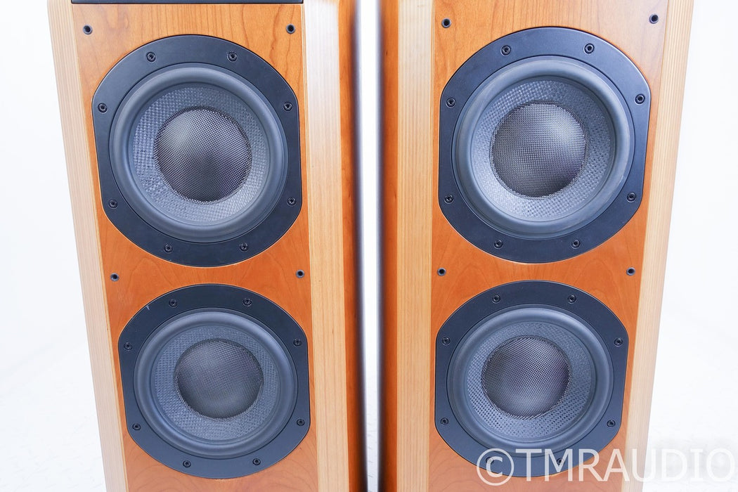 B&W 802D Floorstanding Speakers