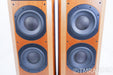 B&W 802D Floorstanding Speakers