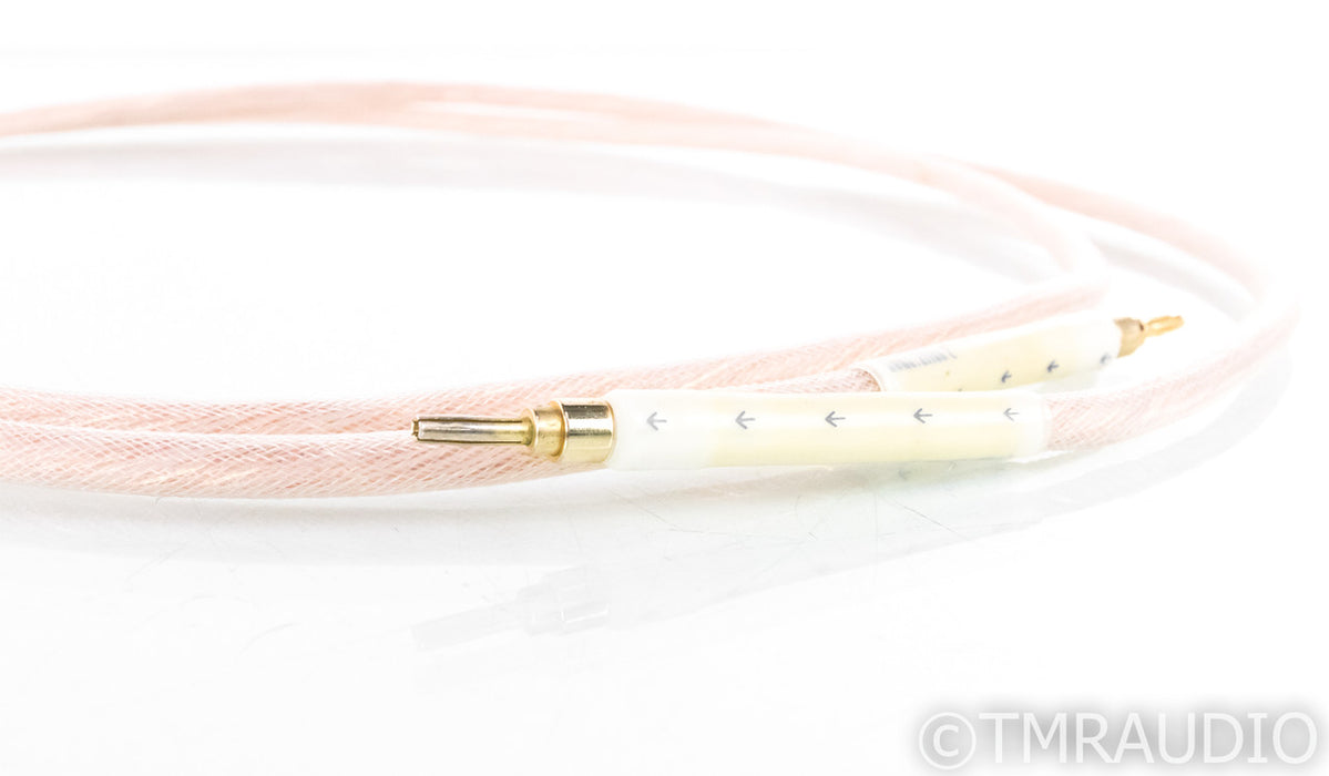 Tara Labs RSC Master Generation 2 Speaker Cable; Single 8ft Cable