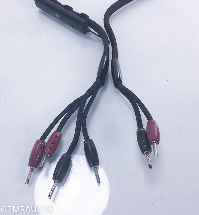 Audioquest Comet Bi-Wire Speaker Cables