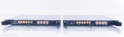 Devialet Expert 440 Mono Power Amplifier