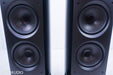 Sonus Faber Venere 3.0 Floorstanding Speakers