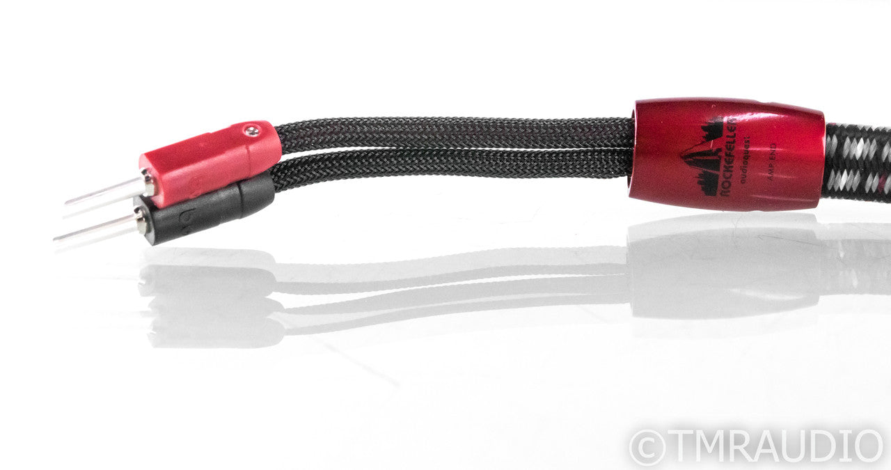 AudioQuest Rockefeller Bi-Wire Speaker Cables; 8ft Pair; 72v DBS